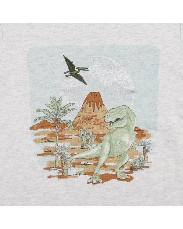 Fox & Finch T-Rex LS Moonrise Tee - Snow Marle (Size 00-7) Online Hot Sale