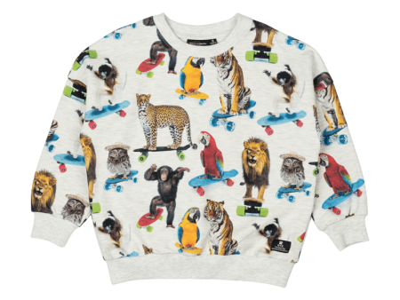 Rock Your Kid Wild Skate Sweatshirt - Multi (Size 2-7) For Sale