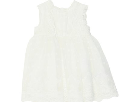 Bebe Sleeveless Lace Dress Ivory- XS18-818IV Supply