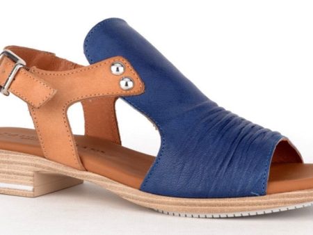 Paula Urban 9 17 Sunset Blue Sale